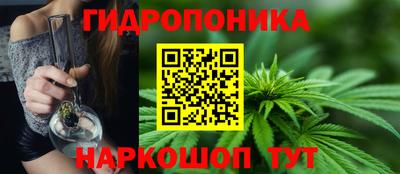 spice Обь