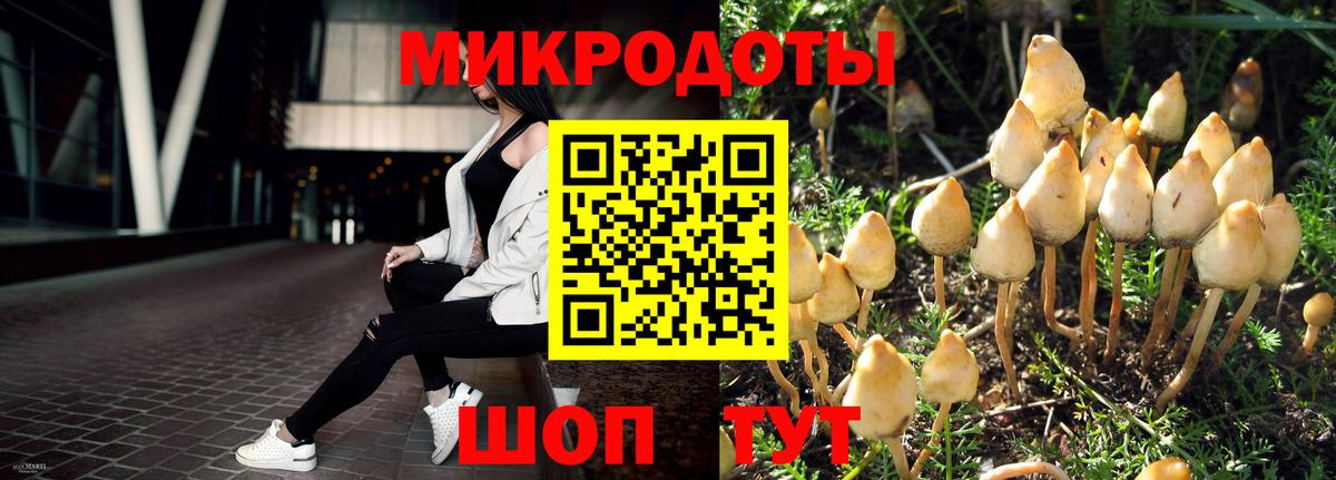 Галлюциногенные грибы Psilocybine cubensis  Вход с VPN  Сыктывкар  Галлюциногенные грибы Cubensis 