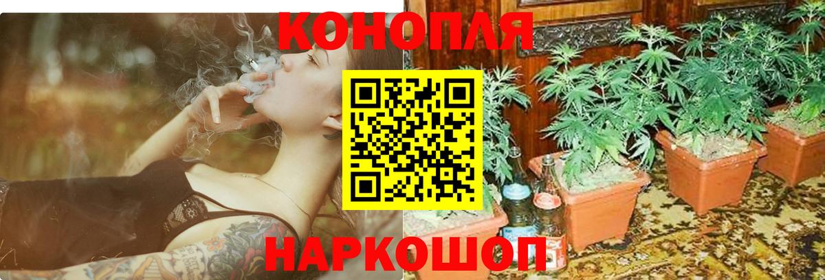 Шишки марихуана OG Kush  Вход с VPN  Каннабис OG Kush  Сыктывкар 